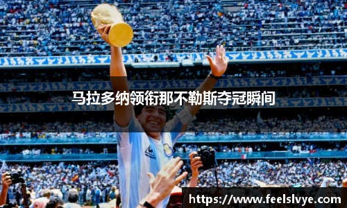 马拉多纳领衔那不勒斯夺冠瞬间
