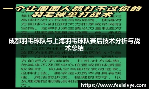 风云体育直播