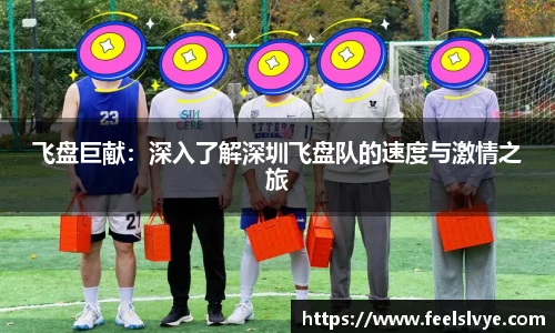 风云足球