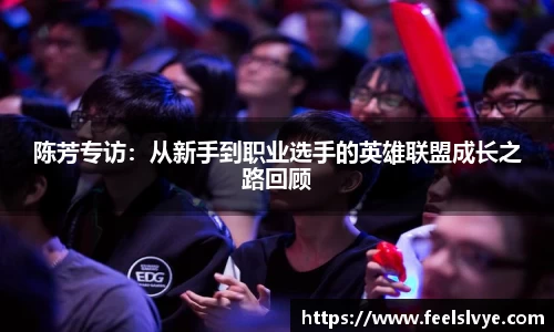 陈芳专访：从新手到职业选手的英雄联盟成长之路回顾
