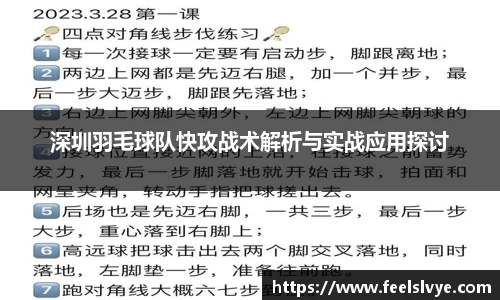 深圳羽毛球队快攻战术解析与实战应用探讨