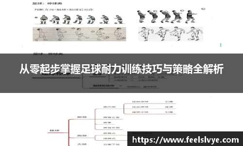 从零起步掌握足球耐力训练技巧与策略全解析