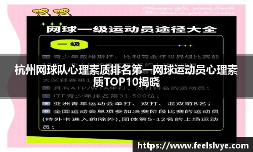 风云体育