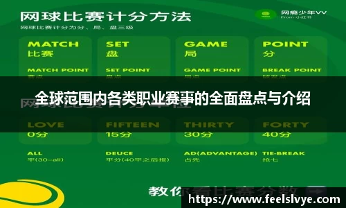 全球范围内各类职业赛事的全面盘点与介绍