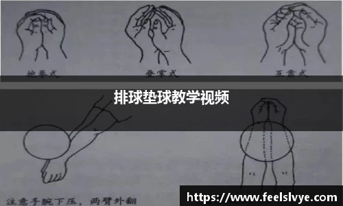 排球垫球教学视频