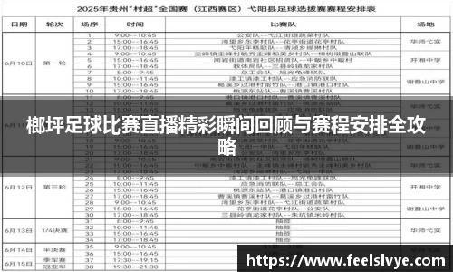 榔坪足球比赛直播精彩瞬间回顾与赛程安排全攻略
