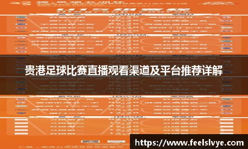 风云足球