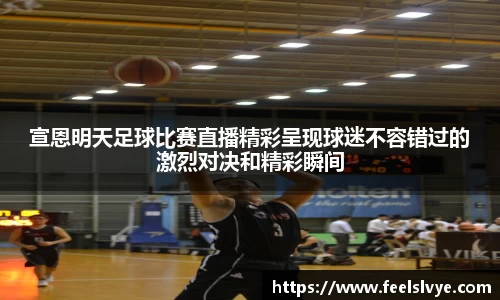 风云足球