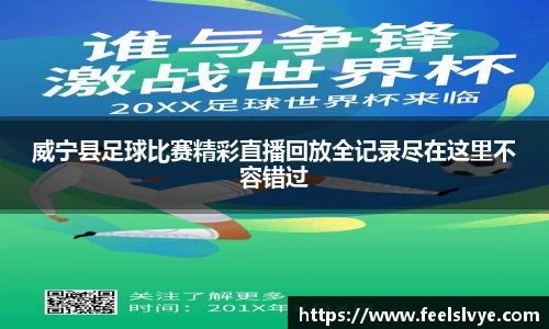 风云体育直播