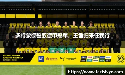 多特蒙德誓取德甲冠军，王者归来任我行