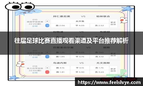 往届足球比赛直播观看渠道及平台推荐解析