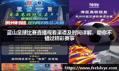 风云足球
