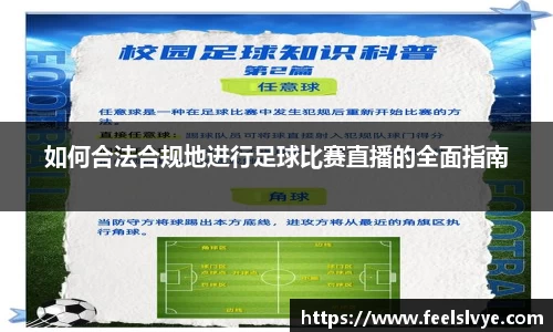 风云体育