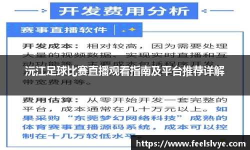 沅江足球比赛直播观看指南及平台推荐详解