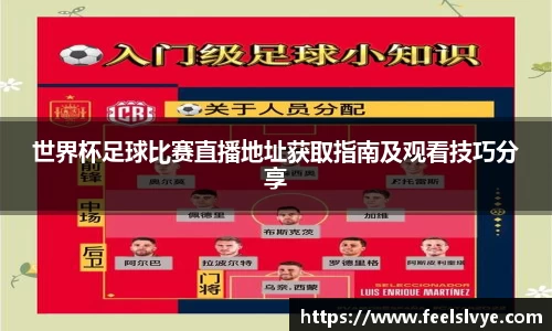 世界杯足球比赛直播地址获取指南及观看技巧分享