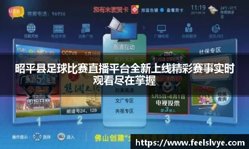 风云足球