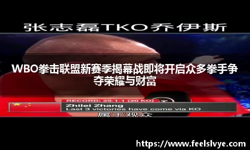 WBO拳击联盟新赛季揭幕战即将开启众多拳手争夺荣耀与财富