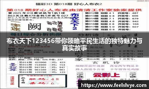 布衣天下123456带你领略平民生活的独特魅力与真实故事