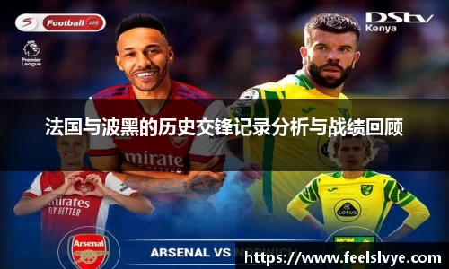 法国与波黑的历史交锋记录分析与战绩回顾
