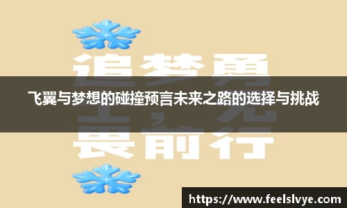 飞翼与梦想的碰撞预言未来之路的选择与挑战